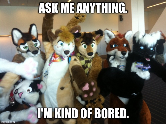 Furries | ASK ME ANYTHING. I'M KIND OF BORED. | image tagged in furries | made w/ Imgflip meme maker