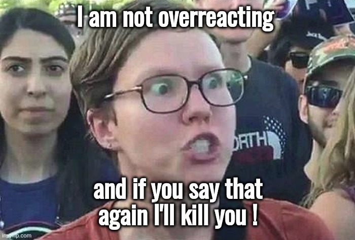 Triggered Liberal | I am not overreacting and if you say that again I'll kill you ! | image tagged in triggered liberal | made w/ Imgflip meme maker