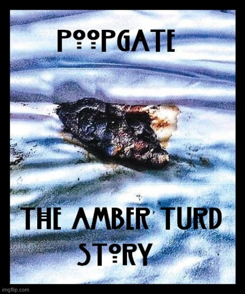 Poopgate | image tagged in poopgate,amber turd,amber heard,funny memes | made w/ Imgflip meme maker