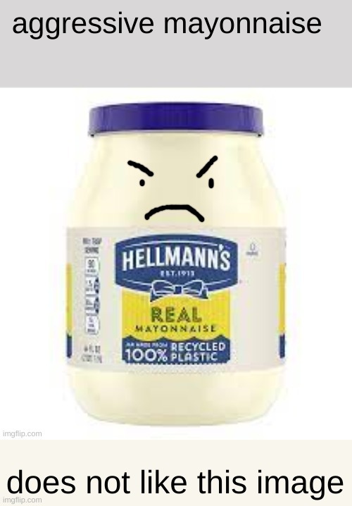 Aggressive Mayonnaise | image tagged in aggressive mayonnaise | made w/ Imgflip meme maker