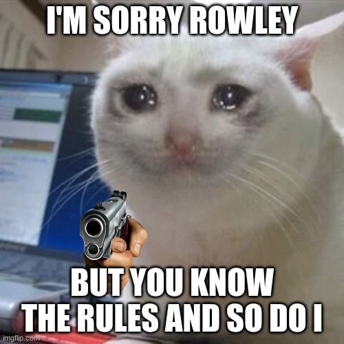 Crying cat | I'M SORRY ROWLEY BUT YOU KNOW THE RULES AND SO DO I | image tagged in crying cat | made w/ Imgflip meme maker