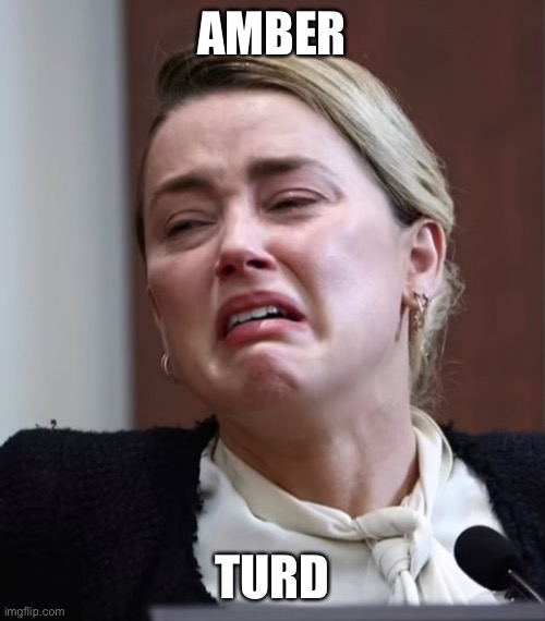 Turd | AMBER; TURD | image tagged in turd | made w/ Imgflip meme maker