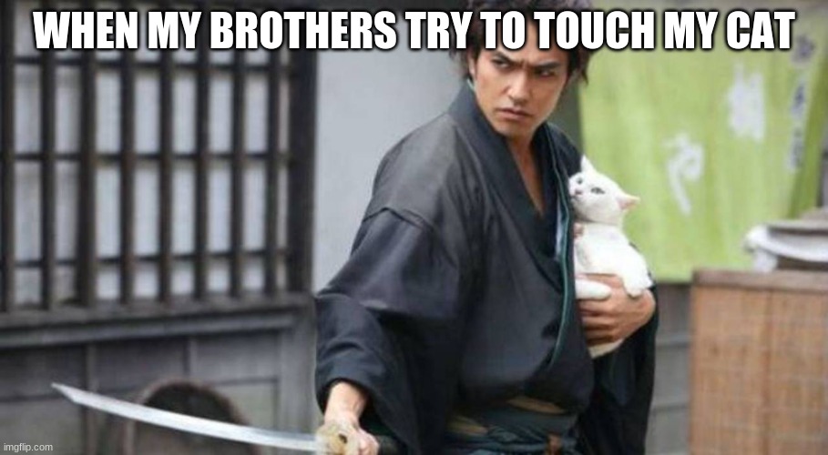 Samurai Protecting Cat | WHEN MY BROTHERS TRY TO TOUCH MY CAT | image tagged in samurai protecting cat | made w/ Imgflip meme maker