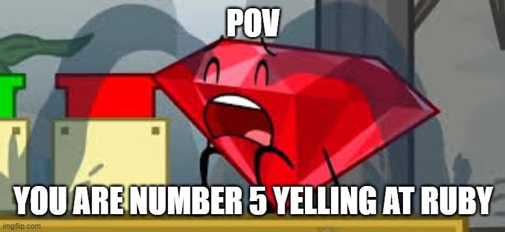 Poor Ruby | POV; YOU ARE NUMBER 5 YELLING AT RUBY | image tagged in bfdi ruby crying | made w/ Imgflip meme maker