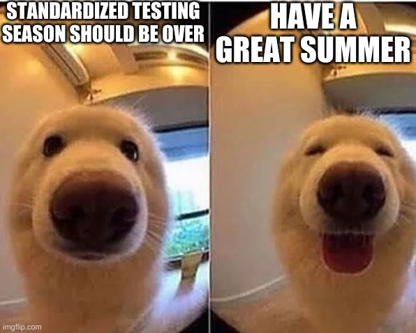 wholesome doggo | STANDARDIZED TESTING SEASON SHOULD BE OVER; HAVE A GREAT SUMMER | image tagged in wholesome doggo | made w/ Imgflip meme maker