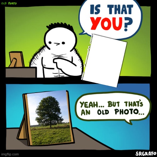 im so funny | image tagged in meme,funny,memes,tree,paper,fun | made w/ Imgflip meme maker