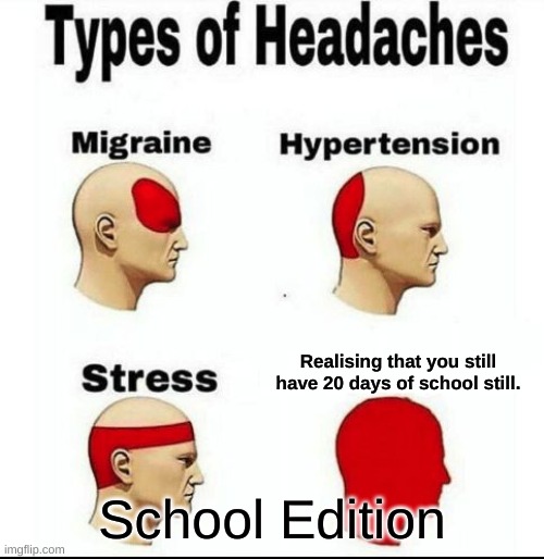 omg damn... | Realising that you still have 20 days of school still. School Edition | image tagged in types of headaches meme,school,skool,funny | made w/ Imgflip meme maker