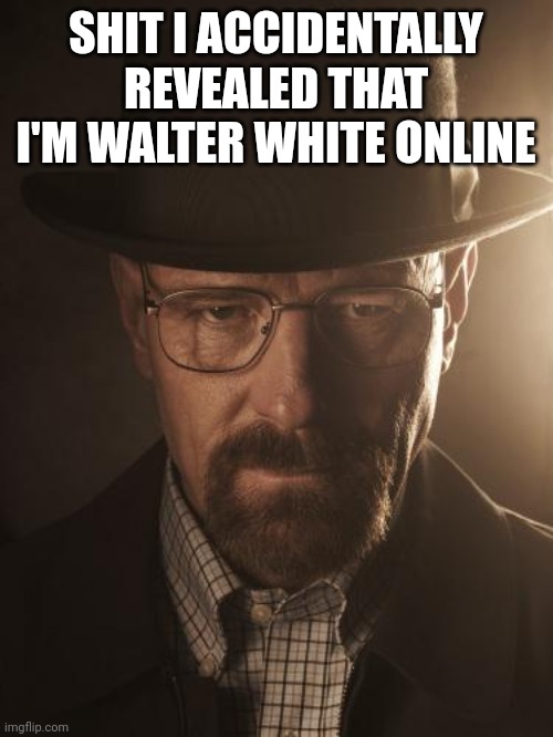 and have to make more meth today | SHIT I ACCIDENTALLY REVEALED THAT I'M WALTER WHITE ONLINE | image tagged in walter white | made w/ Imgflip meme maker