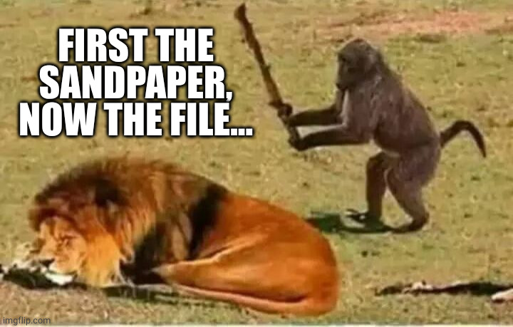 Monkey lion | FIRST THE SANDPAPER, NOW THE FILE... | image tagged in monkey lion | made w/ Imgflip meme maker