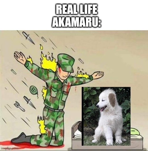 It needs to be protected | REAL LIFE AKAMARU: | image tagged in soldier protecting sleeping child | made w/ Imgflip meme maker