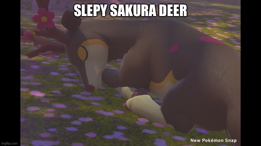 Is spring Sawsbuck | SLEPY SAKURA DEER | made w/ Imgflip meme maker