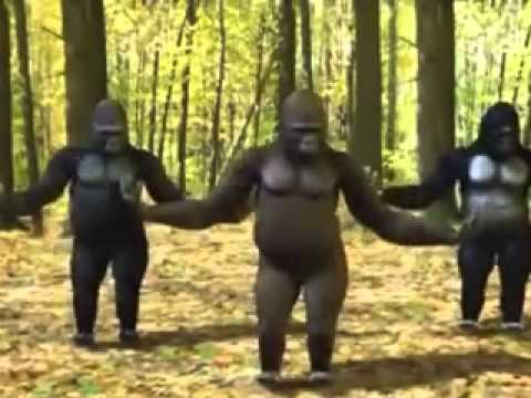 Macacos dançantes Blank Meme Template