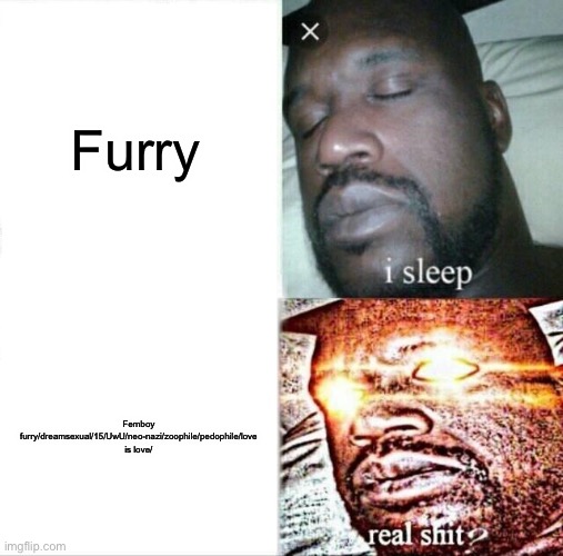 Normal furries like me are fine but the others get into to some shit thats weird af | Furry; Femboy furry/dreamsexual/15/UwU/neo-nazi/zoophile/pedophile/love is love/ | image tagged in memes,sleeping shaq | made w/ Imgflip meme maker