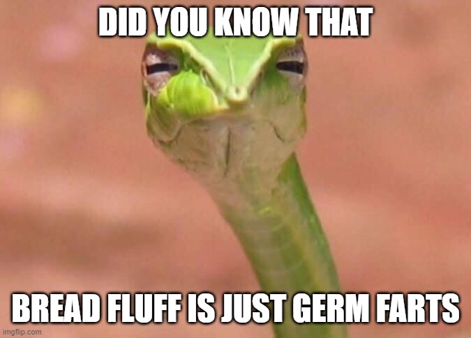 its true! | DID YOU KNOW THAT; BREAD FLUFF IS JUST GERM FARTS | image tagged in skeptical snake | made w/ Imgflip meme maker