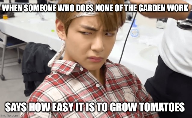 What are you doing | WHEN SOMEONE WHO DOES NONE OF THE GARDEN WORK; SAYS HOW EASY IT IS TO GROW TOMATOES | image tagged in what are you doing | made w/ Imgflip meme maker