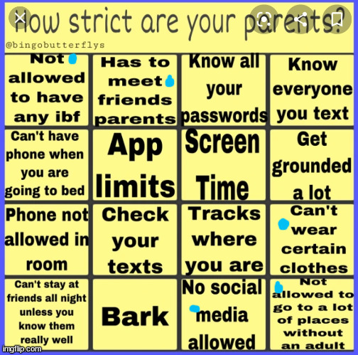 True stuff | image tagged in strict parent bingo | made w/ Imgflip meme maker