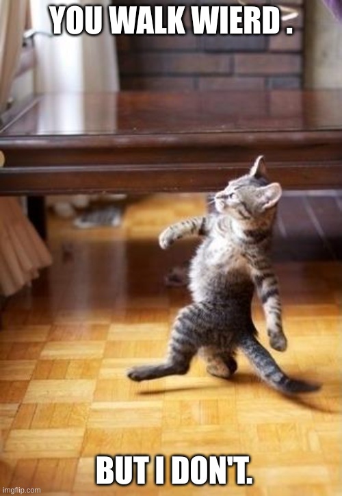 Cool Cat Stroll | YOU WALK WIERD . BUT I DON'T. | image tagged in memes,cool cat stroll | made w/ Imgflip meme maker