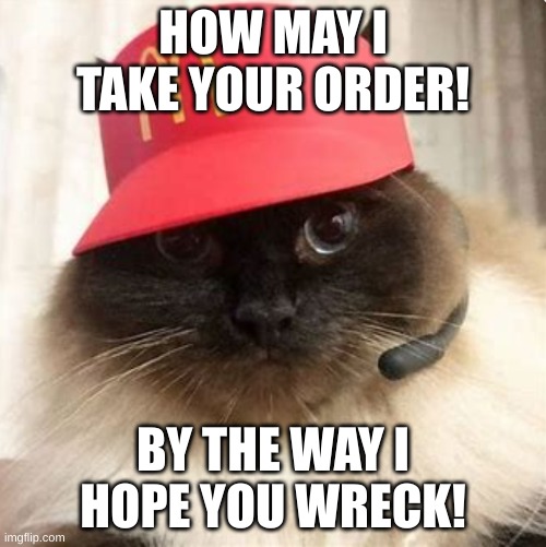 McMeow McDonald's Drive Thru Cat | HOW MAY I TAKE YOUR ORDER! BY THE WAY I HOPE YOU WRECK! | image tagged in mcmeow mcdonald's drive thru cat | made w/ Imgflip meme maker