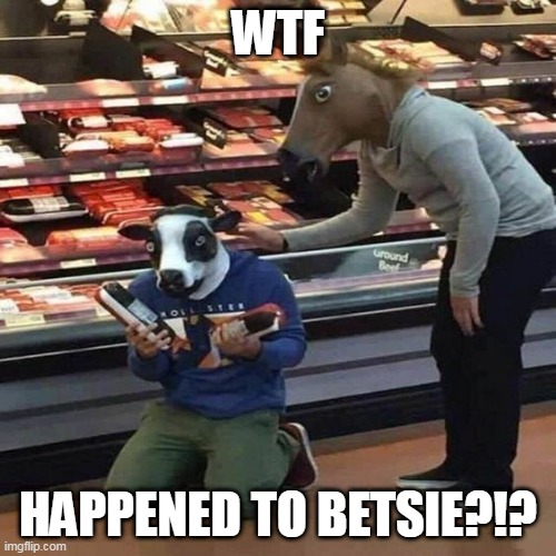 BETSIE IS GOIN ON THE GRILL THIS WEEKEND | WTF; HAPPENED TO BETSIE?!? | image tagged in cow,wtf,hamburger | made w/ Imgflip meme maker