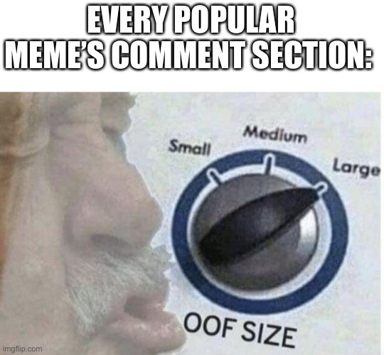 They can’t hate it! | EVERY POPULAR MEME’S COMMENT SECTION: | image tagged in oof size large | made w/ Imgflip meme maker