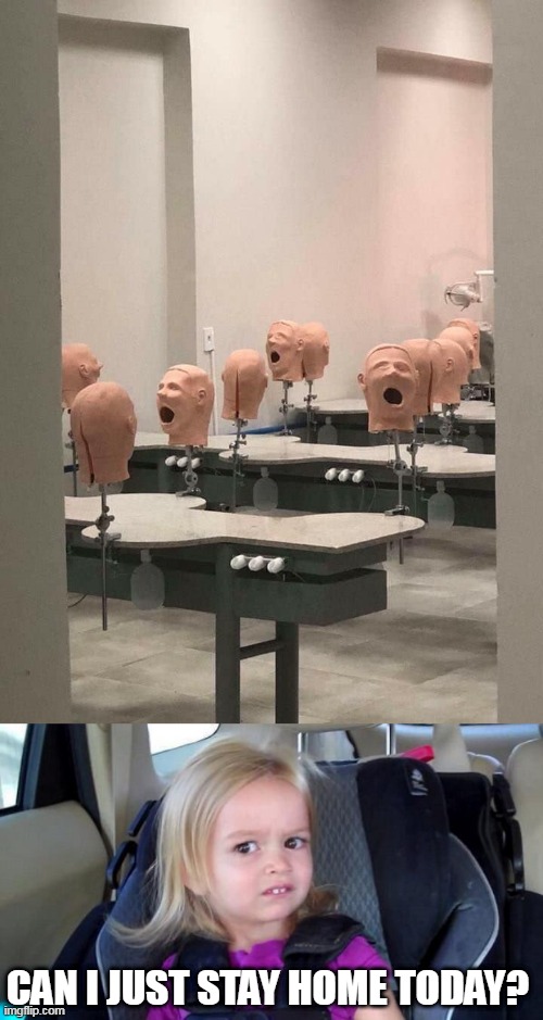 WHAT KIND OF CLASS IS THIS? | CAN I JUST STAY HOME TODAY? | image tagged in wtf girl,class,wtf,cursed image | made w/ Imgflip meme maker