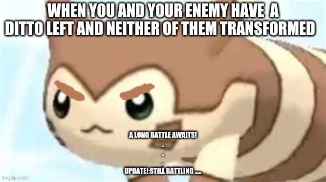 help me! | WHEN YOU AND YOUR ENEMY HAVE  A DITTO LEFT AND NEITHER OF THEM TRANSFORMED; A LONG BATTLE AWAITS!
.
.
.
UPDATE!:STILL BATTLING ..... | image tagged in angry furret | made w/ Imgflip meme maker