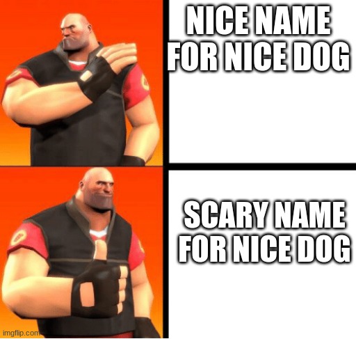 Heavy Drake | NICE NAME FOR NICE DOG; SCARY NAME FOR NICE DOG | image tagged in heavy drake | made w/ Imgflip meme maker
