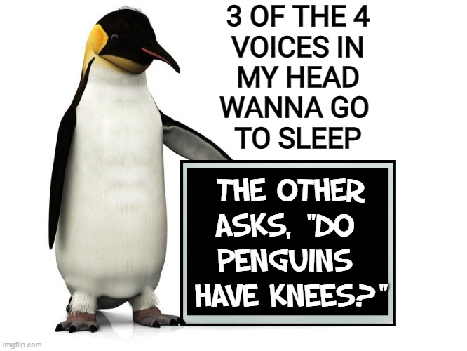 Things we think about when trying to sleep |  3 OF THE 4
VOICES IN
MY HEAD
WANNA GO 
TO SLEEP; THE OTHER
ASKS, "DO 
PENGUINS 
HAVE KNEES?" | image tagged in vince vance,penguins,knees,brain before sleep,the voices,memes | made w/ Imgflip meme maker