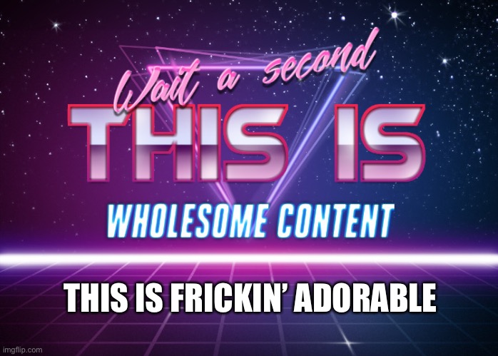 Wait a second this is wholesome content | THIS IS FRICKIN’ ADORABLE | image tagged in wait a second this is wholesome content | made w/ Imgflip meme maker