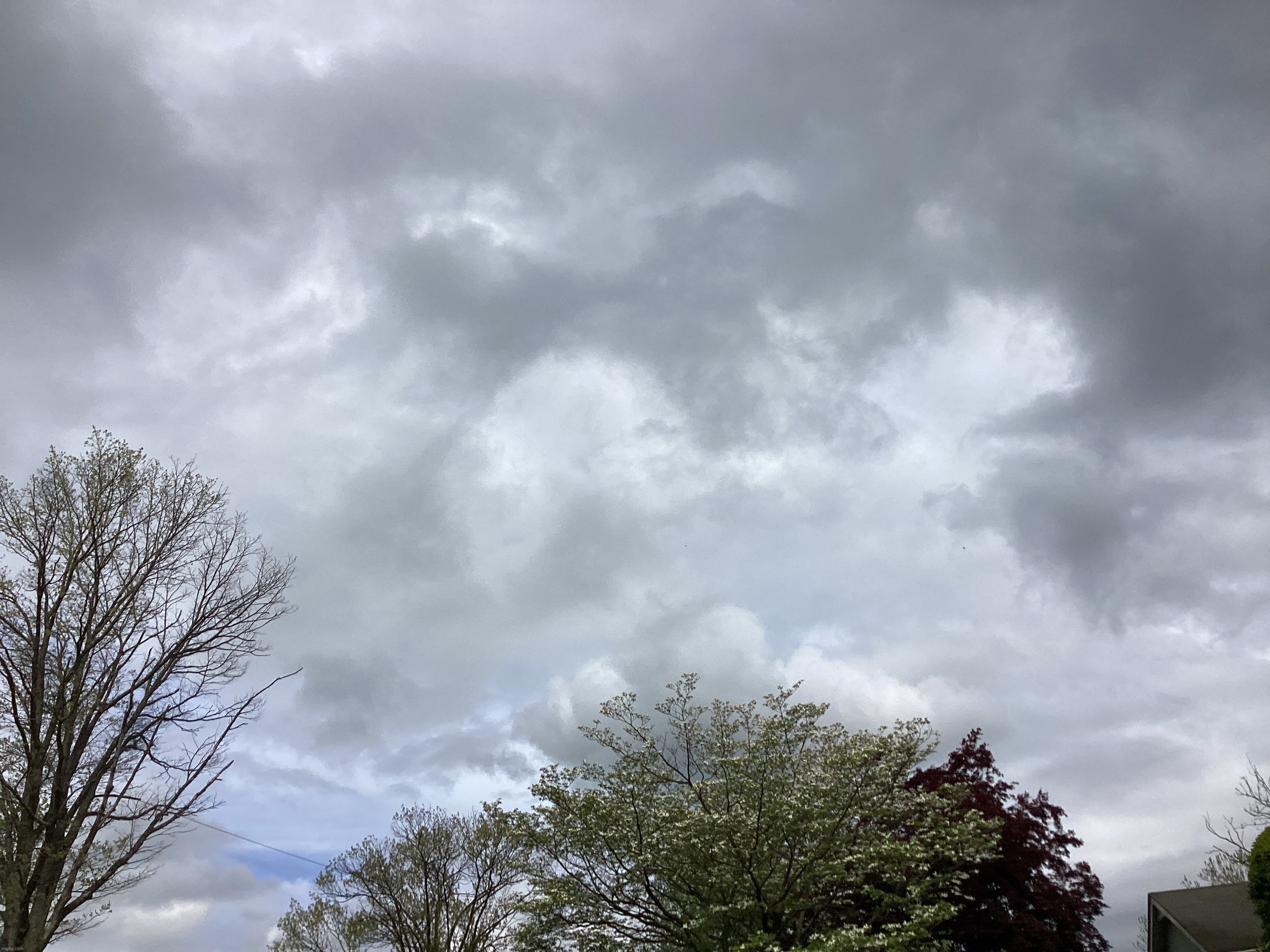 Another photo of clouds I took, a little overcast today, gonna have thunderstorms during the weekend | image tagged in clouds | made w/ Imgflip meme maker