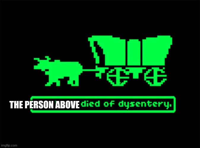 you have died of dysentery | THE PERSON ABOVE | image tagged in you have died of dysentery | made w/ Imgflip meme maker