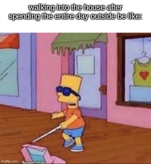 i just experienced this lol | walking into the house after spending the entire day outside be like: | made w/ Imgflip meme maker