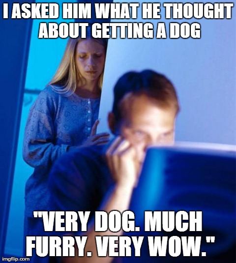 Redditor's Wife Meme | I ASKED HIM WHAT HE THOUGHT ABOUT GETTING A DOG "VERY DOG. MUCH FURRY. VERY WOW." | image tagged in memes,redditors wife,doge | made w/ Imgflip meme maker