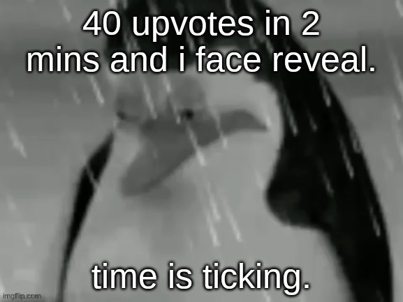 the sad | 40 upvotes in 2 mins and i face reveal. time is ticking. | image tagged in the sad | made w/ Imgflip meme maker
