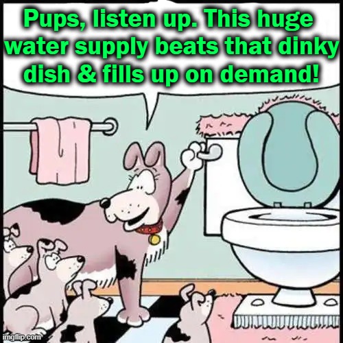 A Mother’s Job is Never Done |  Pups, listen up. This huge 
water supply beats that dinky
dish & fills up on demand! | image tagged in fun,funny,dogs,mothers,lol,wholesome | made w/ Imgflip meme maker