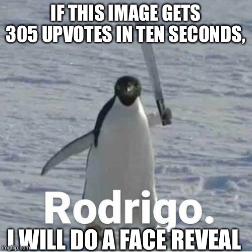 Rodrigo | IF THIS IMAGE GETS 305 UPVOTES IN TEN SECONDS, I WILL DO A FACE REVEAL | image tagged in rodrigo | made w/ Imgflip meme maker