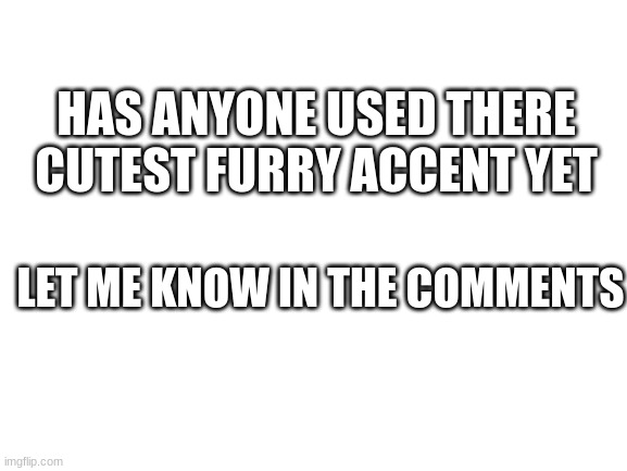 UwU |  HAS ANYONE USED THERE CUTEST FURRY ACCENT YET; LET ME KNOW IN THE COMMENTS | image tagged in blank white template,furry,accent | made w/ Imgflip meme maker