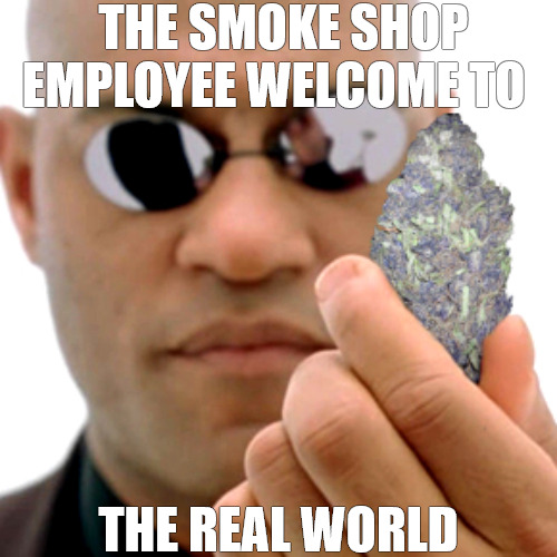 THE METAVERSE | THE SMOKE SHOP EMPLOYEE WELCOME TO; THE REAL WORLD | image tagged in matrix,matrix morpheus | made w/ Imgflip meme maker