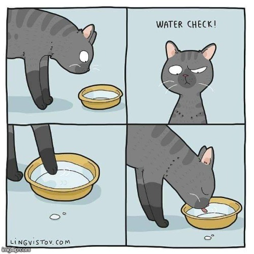 A Cat's Way Of Thinking | image tagged in memes,comics,cats,thinking,water,check | made w/ Imgflip meme maker