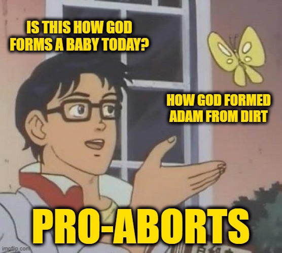 Is This A Pigeon Meme | IS THIS HOW GOD FORMS A BABY TODAY? HOW GOD FORMED ADAM FROM DIRT PRO-ABORTS | image tagged in memes,is this a pigeon | made w/ Imgflip meme maker