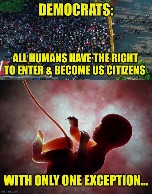 The Illegals | DEMOCRATS:; ALL HUMANS HAVE THE RIGHT TO ENTER & BECOME US CITIZENS; WITH ONLY ONE EXCEPTION... | image tagged in immigration,illegals,abortion | made w/ Imgflip meme maker