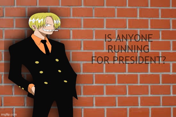 IS ANYONE RUNNING FOR PRESIDENT? | image tagged in for president,who's running | made w/ Imgflip meme maker