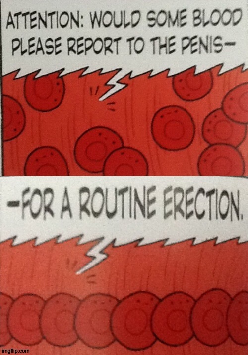 Would some blood report to the penis | image tagged in would some blood report to the penis | made w/ Imgflip meme maker