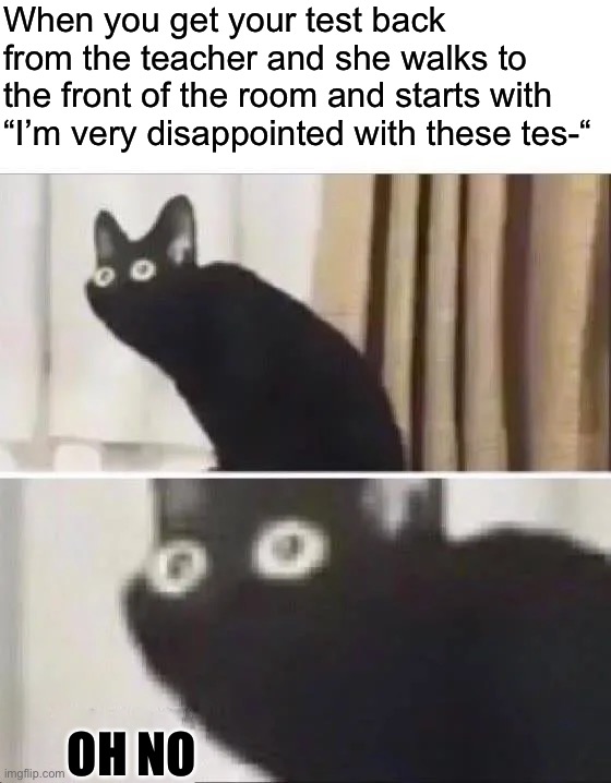 This happened to me the other day, I hate when teachers give lectures about test scores |  When you get your test back from the teacher and she walks to the front of the room and starts with “I’m very disappointed with these tes-“; OH NO | image tagged in oh no black cat,memes,funny,true story,teachers,test | made w/ Imgflip meme maker
