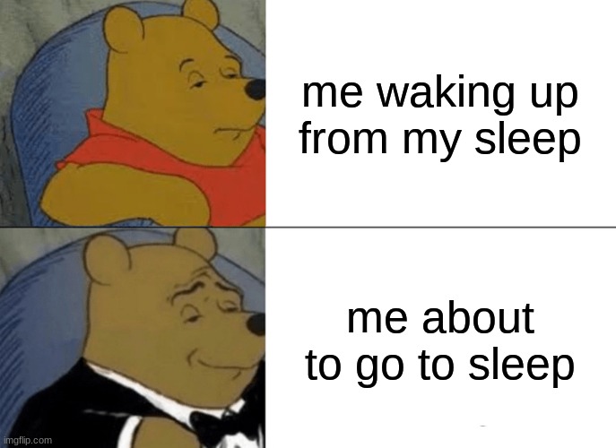 winnie the pooh sleeps | me waking up from my sleep; me about to go to sleep | image tagged in memes,tuxedo winnie the pooh | made w/ Imgflip meme maker