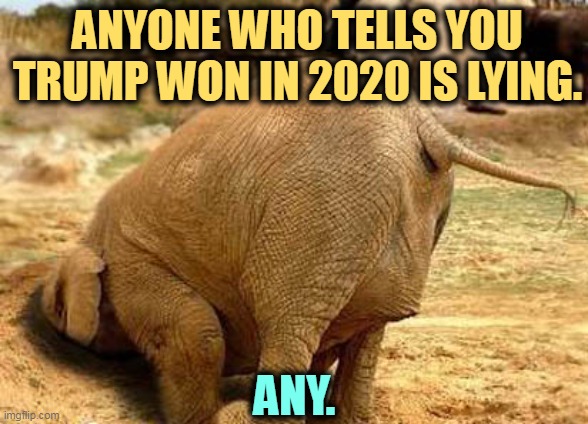 Some know they're lying, some don't. But they're all lying. | ANYONE WHO TELLS YOU TRUMP WON IN 2020 IS LYING. ANY. | image tagged in republican elephant head in the sand denying any and all facts,trump,lost,election 2020 | made w/ Imgflip meme maker