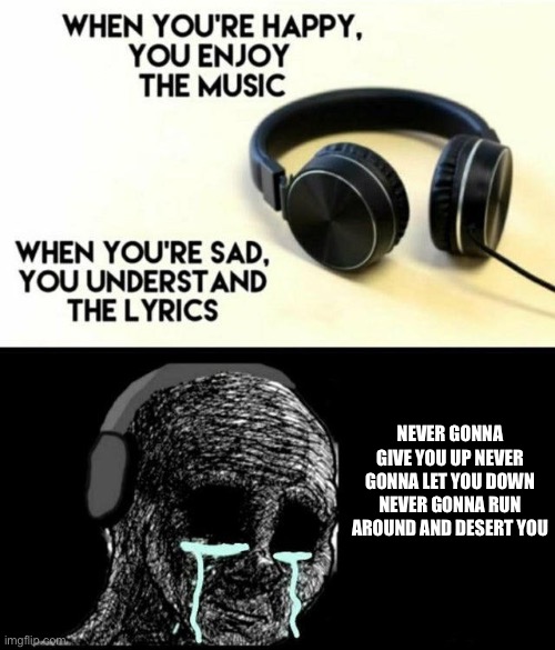 sad lyrics | NEVER GONNA GIVE YOU UP NEVER GONNA LET YOU DOWN NEVER GONNA RUN AROUND AND DESERT YOU | image tagged in sad lyrics | made w/ Imgflip meme maker