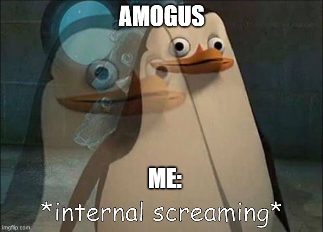 Private Internal Screaming | AMOGUS; ME: | image tagged in private internal screaming | made w/ Imgflip meme maker