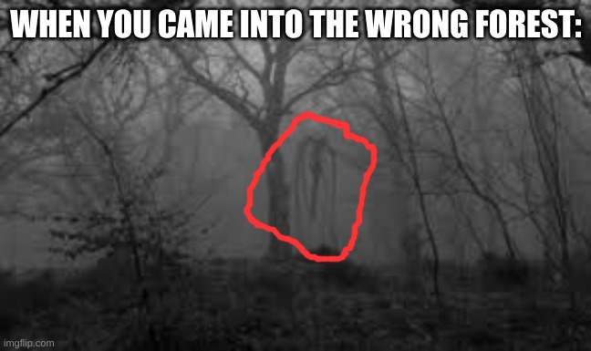Oh no | WHEN YOU CAME INTO THE WRONG FOREST: | image tagged in cursed image,slenderman,forest | made w/ Imgflip meme maker