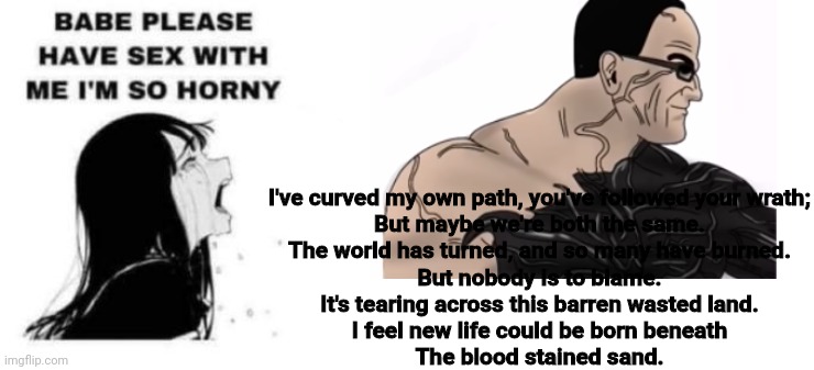 Babe please stop | I've curved my own path, you've followed your wrath;
But maybe we're both the same.
The world has turned, and so many have burned.
But nobody is to blame.
It's tearing across this barren wasted land.
I feel new life could be born beneath
The blood stained sand. | image tagged in babe please stop | made w/ Imgflip meme maker